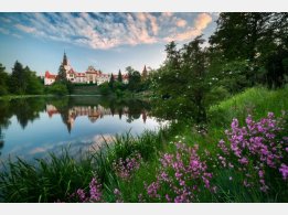 Průhonice Park