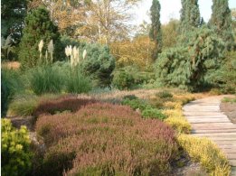 Dendrologischer Garten Pruhonice