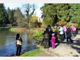 Schlosspark Pruhonice