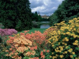 Pruhonice  - Blütenpark und Schloss (UNESCO geschützt)
